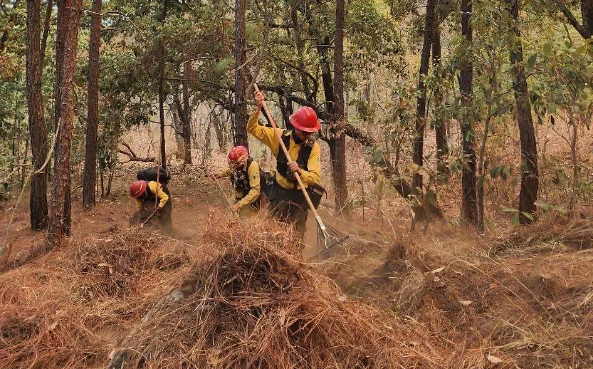 Incendio mazamitla